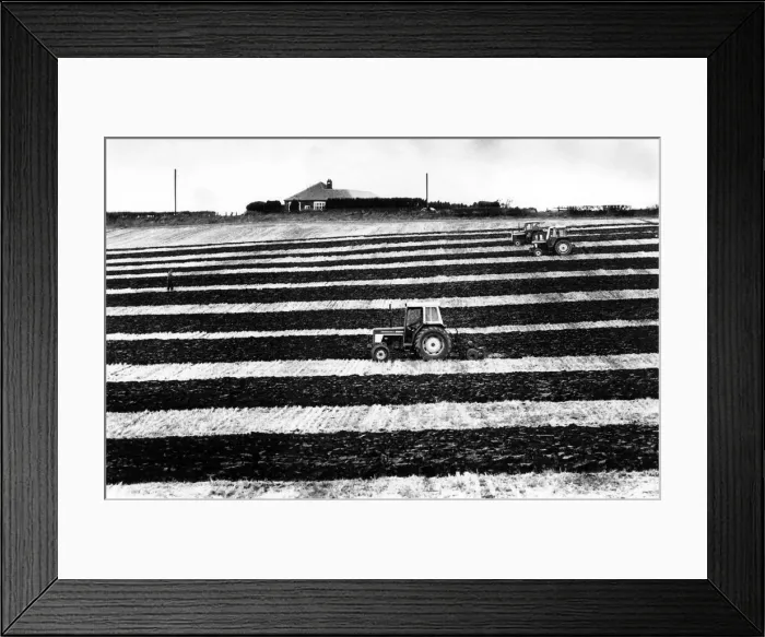 Framed Print : On the straight and narrow. Competitors in the ploughing competition at Herrington Hill