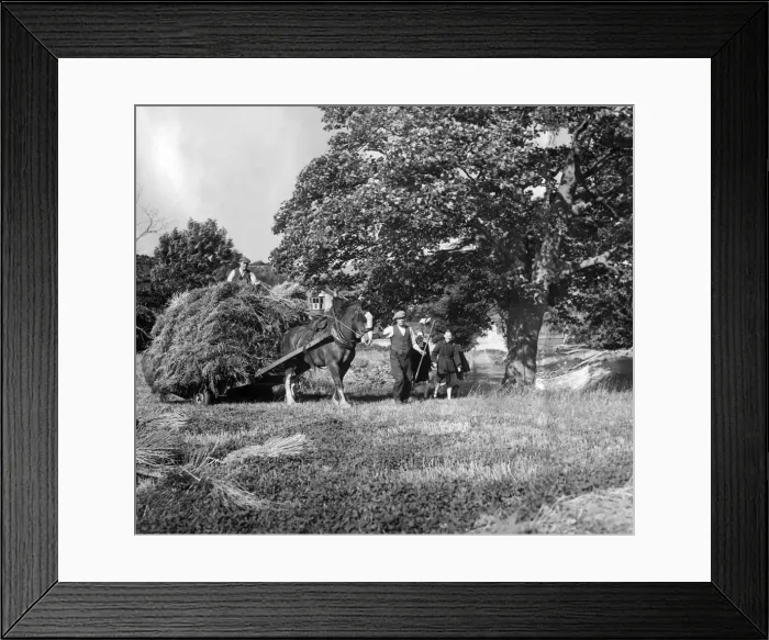 Framed Print : Echoes of a slower way of life on the farm. This picture was taken in September 1950