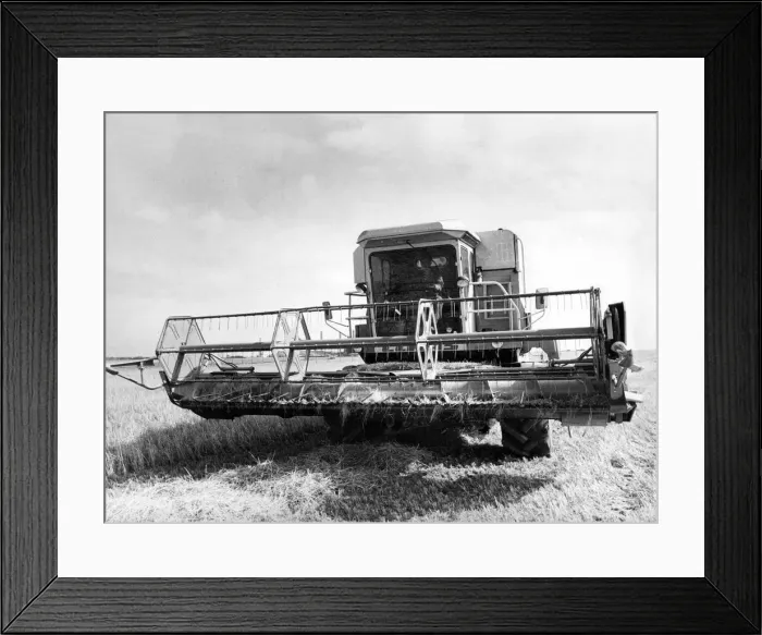 Framed Print : A Cls combine harvester opening up a field of winter barley