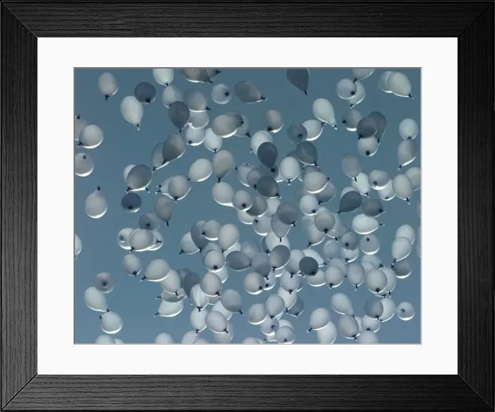 Framed Print : A sea of blue balloons, representing the number of deaths caused by drink drive related Framed Print : A sea of blue balloons, representing the number of deaths caused by drink drive related