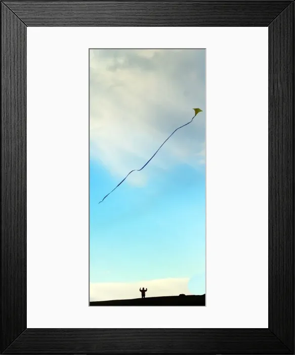 Framed Print : Kite fliers on the Lickey Hills Framed Print : Kite fliers on the Lickey Hills