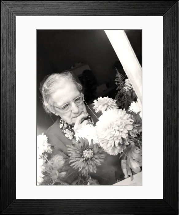 Framed Print : An old lady tends to the flowers on display at one of the Day Centres provided for Framed Print : An old lady tends to the flowers on display at one of the Day Centres provided for
