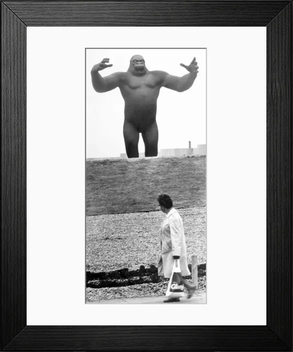 Framed Print : A Woman takes a passing glance at the King Kong statue in Birmingham, September 1972 Framed Print : A Woman takes a passing glance at the King Kong statue in Birmingham, September 1972