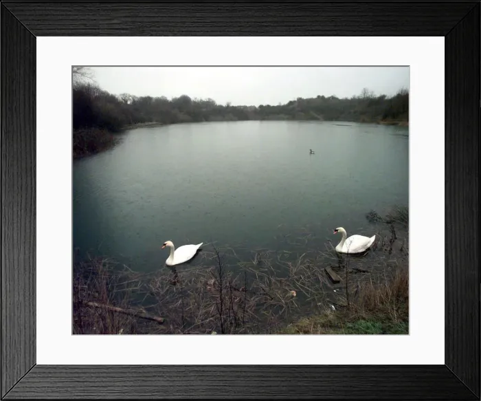 Framed Print : Former quarry at Glebe Estate, Newbold-on-Avon, converted into wildlife pool