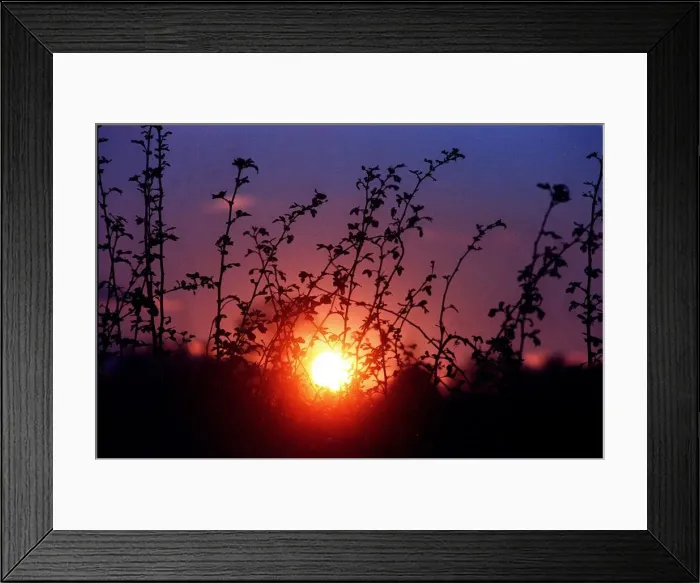 Framed Print : The harsh winter sun sets over Warwickshire on the A3400 Framed Print : The harsh winter sun sets over Warwickshire on the A3400