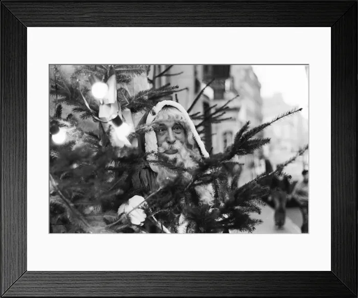 Framed Print : Father Christmas in Paris hiding in a Christmas Tree Local Caption Framed Print : Father Christmas in Paris hiding in a Christmas Tree Local Caption