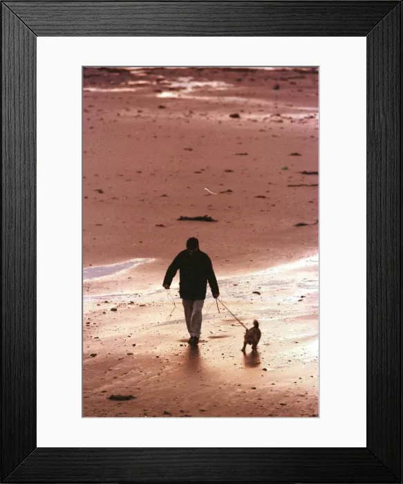 Framed Print : Man walking Dog on Beach in Aberdeen October 1999 Framed Print : Man walking Dog on Beach in Aberdeen October 1999