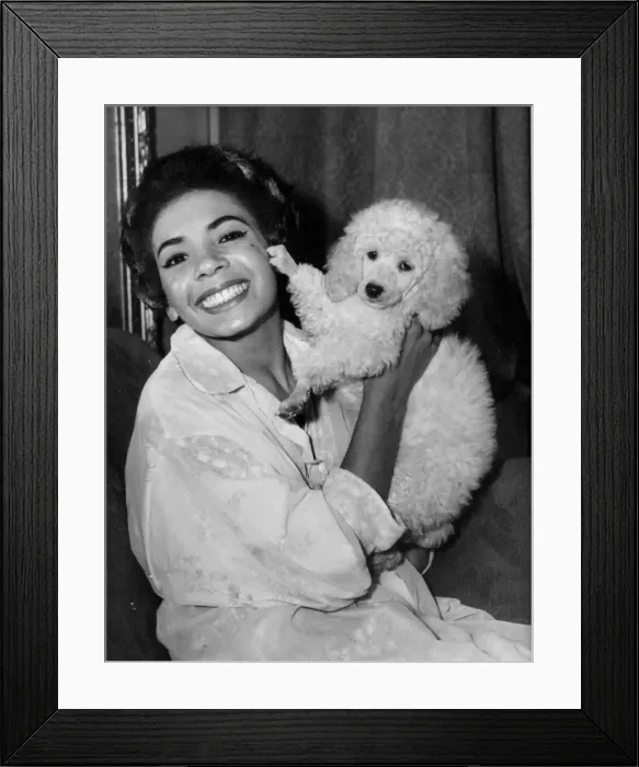 Framed Print : Shirley Bassey with her pet poodle pictured during a visit to Cardiff - 19th Sept 1958 Framed Print : Shirley Bassey with her pet poodle pictured during a visit to Cardiff - 19th Sept 1958