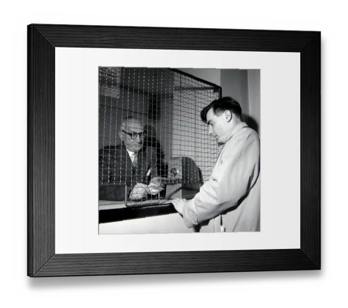 Framed Print : A punter placing a bet at William Massey betting shop in Bethnal Green Framed Print : A punter placing a bet at William Massey betting shop in Bethnal Green