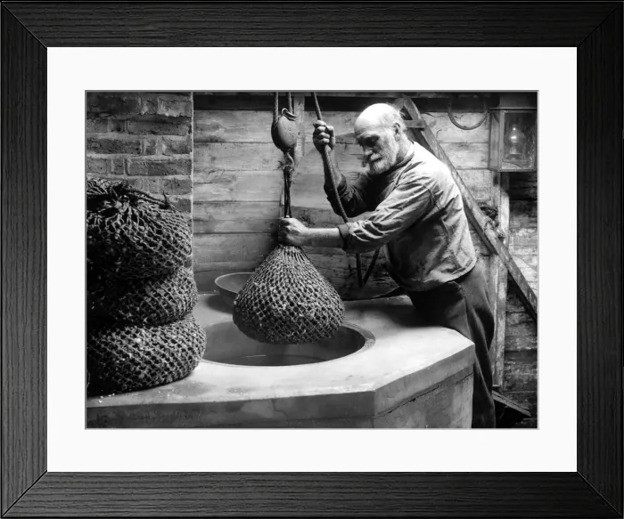 Framed Print : A fisherman with nets full of shellfish January 1945