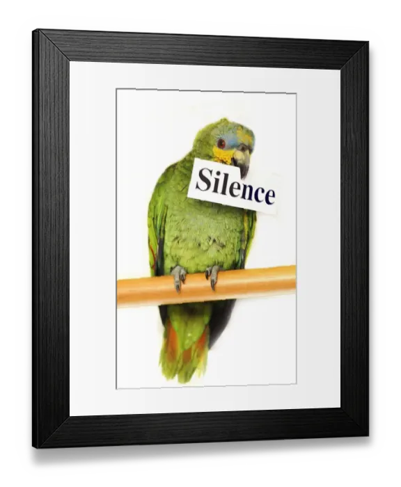 Framed Print : Gismo the parrot has lost his voice after a fire at his home Framed Print : Gismo the parrot has lost his voice after a fire at his home