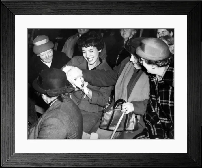 Framed Print : Shirley Bassey, the Cardiff born singer, pictured with her poodle during a concert held Framed Print : Shirley Bassey, the Cardiff born singer, pictured with her poodle during a concert held