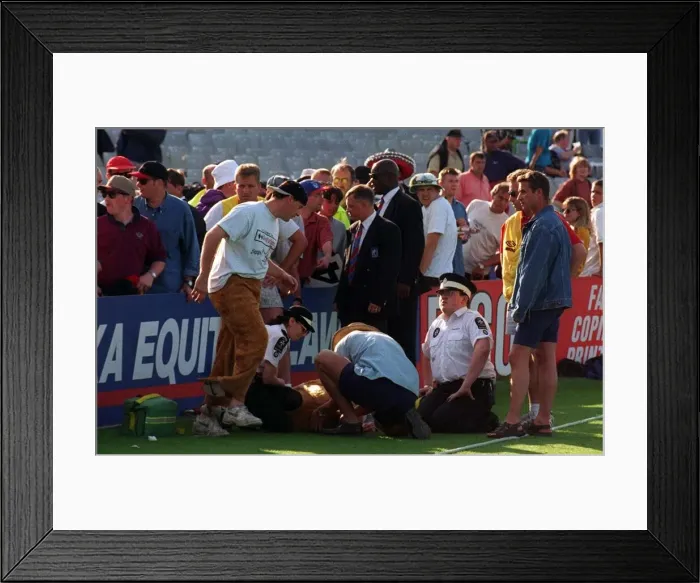 Framed Print : Pantomime cow after being tackled at Headingley July 1997 Medical Staff treat Brancha Framed Print : Pantomime cow after being tackled at Headingley July 1997 Medical Staff treat Brancha