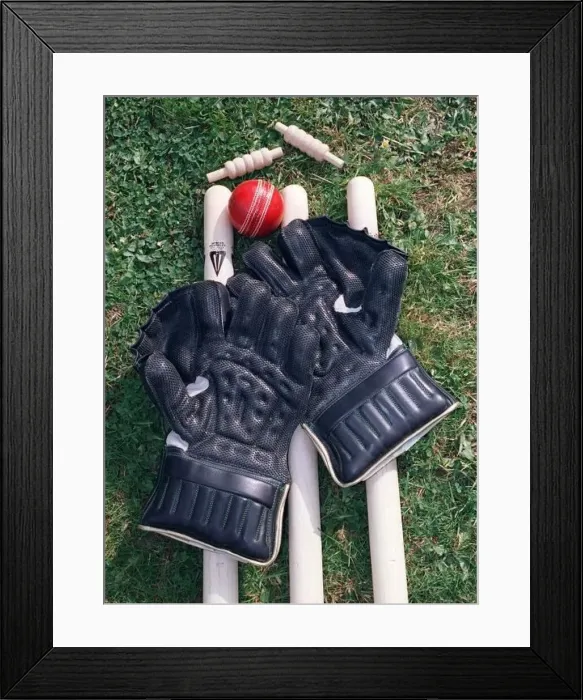 : Cricket Wicket Keepers Gloves Cricket Ball Cricket Stumps DBase : Cricket Wicket Keepers Gloves Cricket Ball Cricket Stumps DBase
