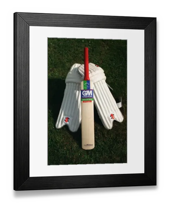 Framed Print : Cricket Bat and Pads DBase