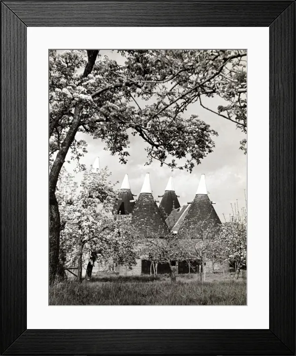 Framed Print : Country scene at Betsham in Kent Oast houses Framed Print : Country scene at Betsham in Kent Oast houses
