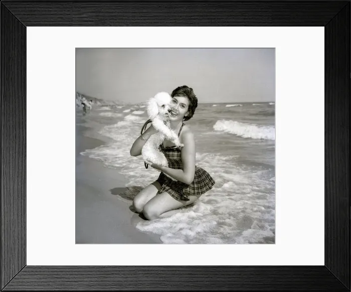 Framed Print : Anita Harris with poodle dog Daki on Bournemouth beach Animals Dogs Framed Print : Anita Harris with poodle dog Daki on Bournemouth beach Animals Dogs
