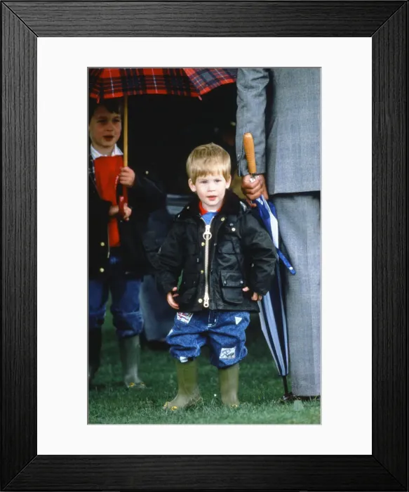 Framed Print : Prince Harry on right with Prince William at a polo match in Cirencester