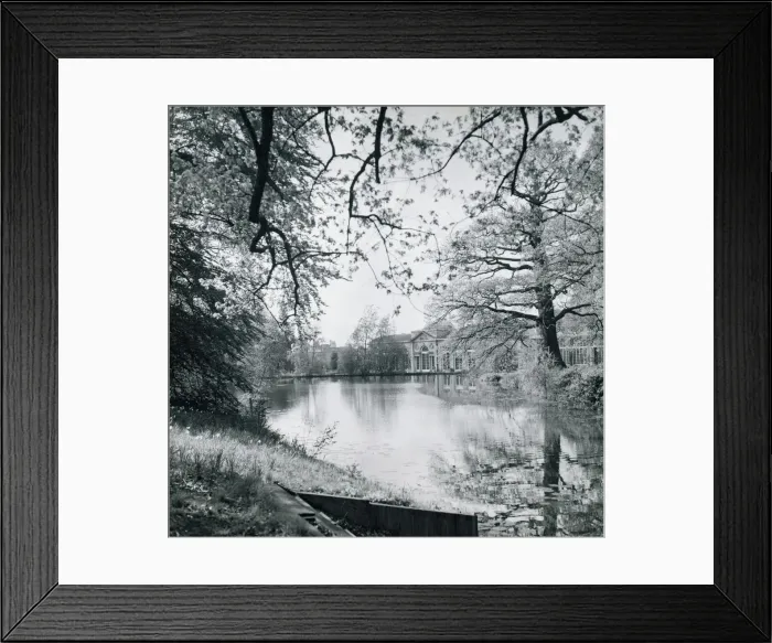 Framed Print : Looking across the ornamental lake towards Woburn Abbey May 1965 Framed Print : Looking across the ornamental lake towards Woburn Abbey May 1965