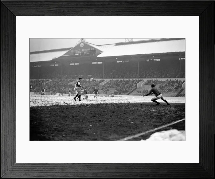 Framed Print : Sport: Football: Sheffield Wednesday v. Arsenal. Sprineett dives to save a shot Framed Print : Sport: Football: Sheffield Wednesday v. Arsenal. Sprineett dives to save a shot