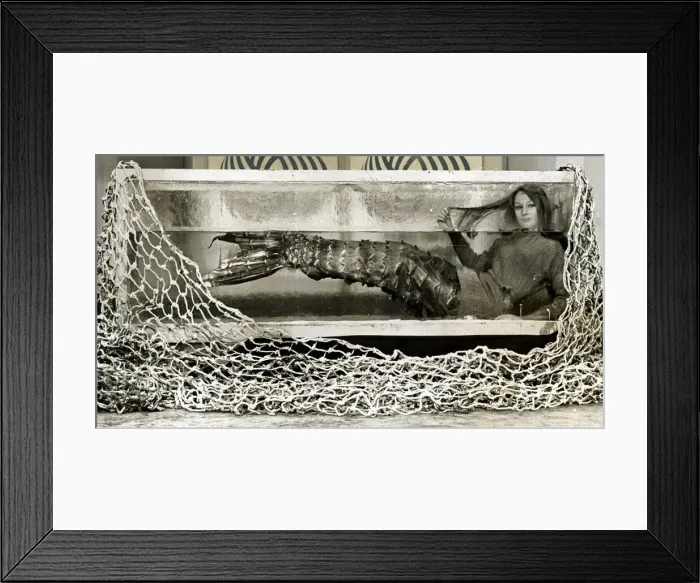 Framed Print : Model Justine advertising a sweater that doesnt shrink wearing mermaid appendage in a Framed Print : Model Justine advertising a sweater that doesnt shrink wearing mermaid appendage in a
