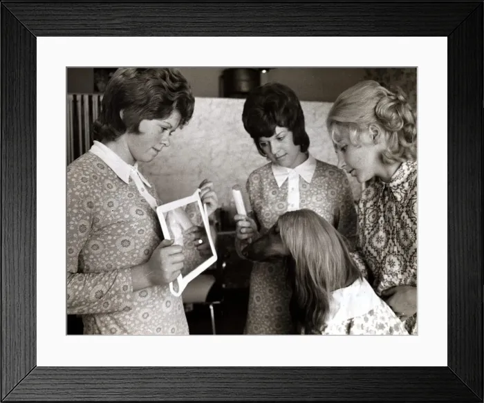 Framed Print : Empress the Afghan hound is shown her new style in the mirror after having her hair