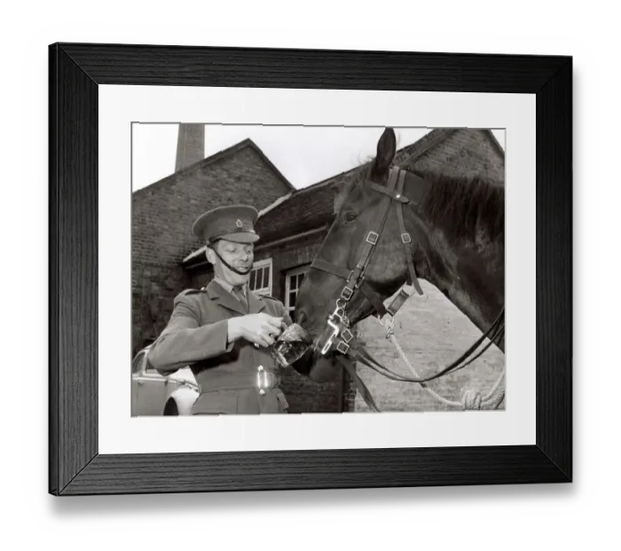 Framed Print : A Life Guard gives Puritan The Horse a helping hand drinking his Pint of Beer at a