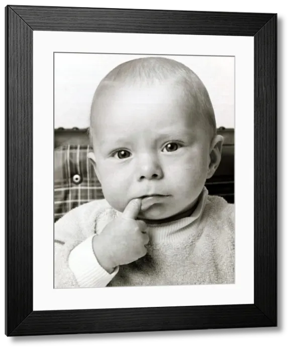 Framed Print : A cute baby looking bemused thinking with one finger in his mouth October 1969 Framed Print : A cute baby looking bemused thinking with one finger in his mouth October 1969