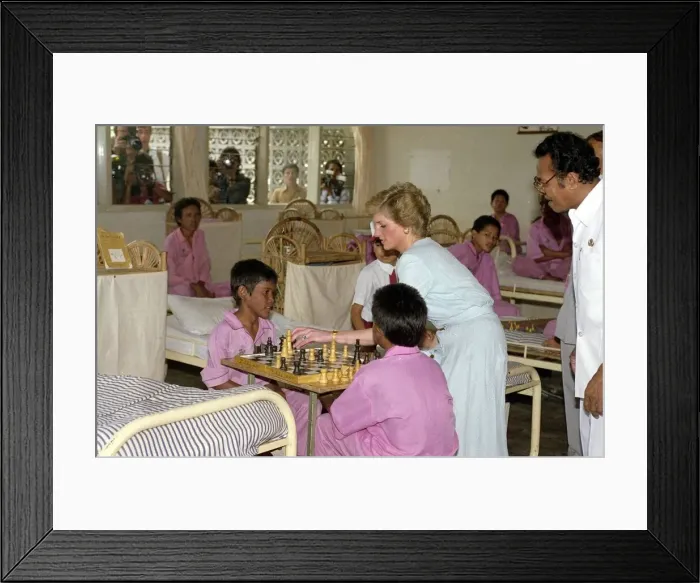 Framed Print : Prince and Princess of Wales Official Visit to Indonesia 1989