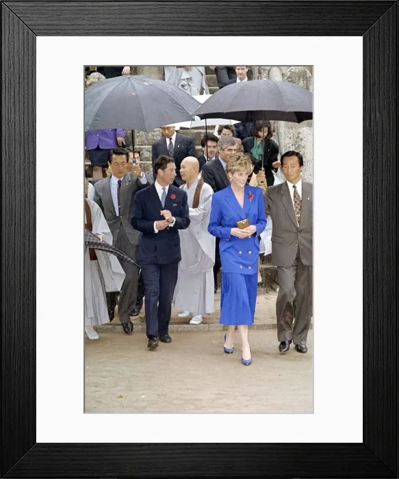 Framed Print : Prince and princess of wales Official Overseas Visit to South Korea Framed Print : Prince and princess of wales Official Overseas Visit to South Korea