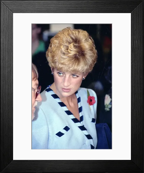 Framed Print : Prince and Princess Of Wales Official Overseas Visit to South Korea