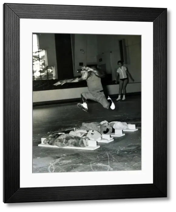 Framed Print : Chimpanzee leaps over a row of large teddy bears. June 1960 Framed Print : Chimpanzee leaps over a row of large teddy bears. June 1960