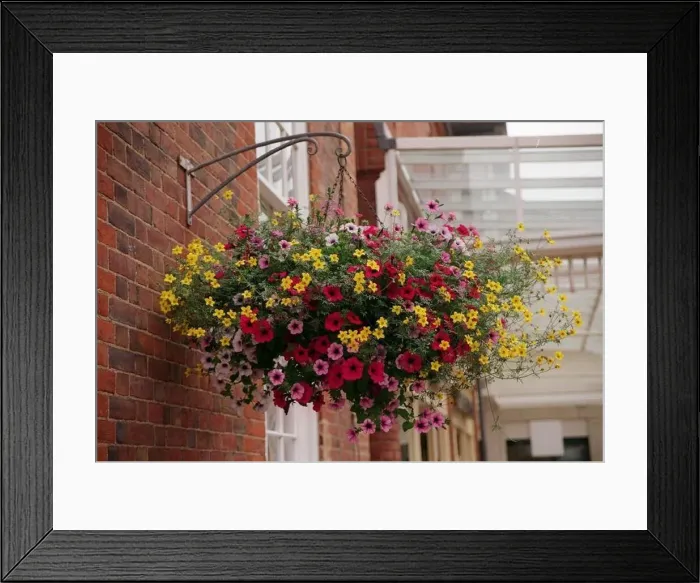 : Flowers Hanging Flower Basket : Flowers Hanging Flower Basket