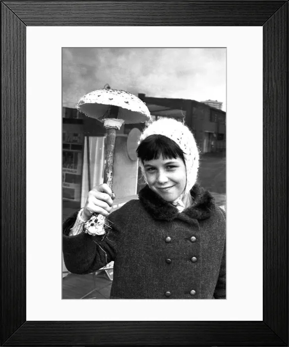 Framed Print : This young girl has a very unusual umbrella. The parasol mushroom was found in Coventry