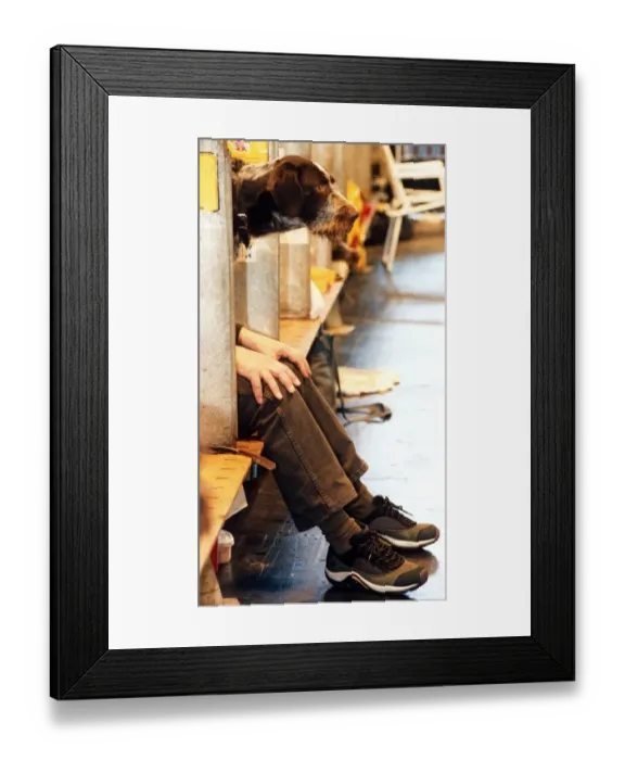 Framed Print : Crufts Dog show, Birmingham NEC. 12th March 1999