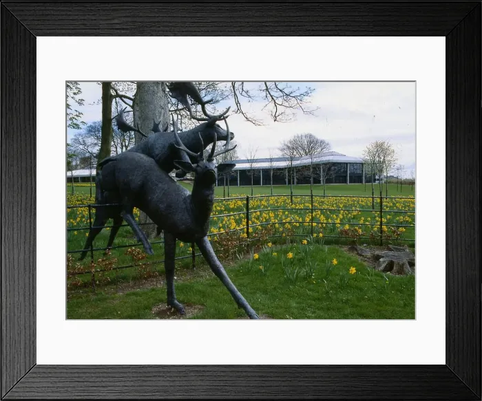 Framed Print : Technology Park Dundee June 1990 sculpture of leaping deer at entrance to park Framed Print : Technology Park Dundee June 1990 sculpture of leaping deer at entrance to park