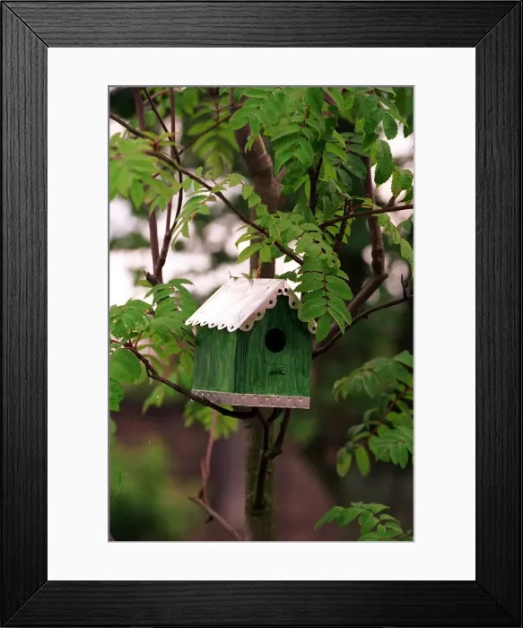Framed Print : LANDSCAPE ARCHITECT JOANNE BRINDLEY Aug 1998 IN BEAZER HOMES WILDLIFE GARDEN Home Framed Print : LANDSCAPE ARCHITECT JOANNE BRINDLEY Aug 1998 IN BEAZER HOMES WILDLIFE GARDEN Home