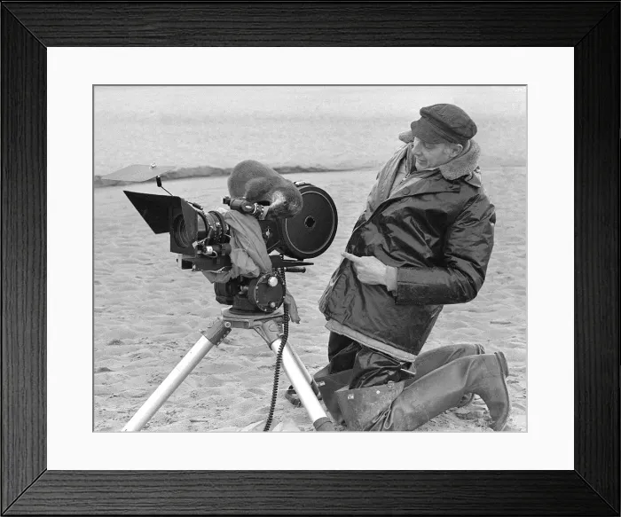 Framed Print : Animals Otters February 1977 See picture WA*2172523 for cropped version