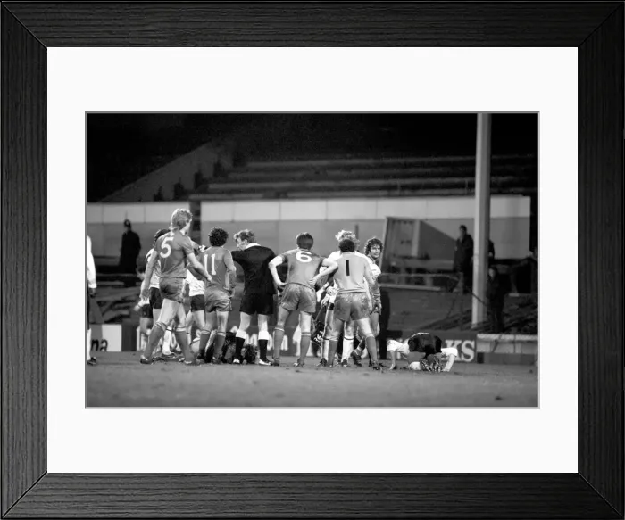Framed Print : Sport: Football: F. A Cup: 3rd Round Replay: Tottenham Hotspur (3) v