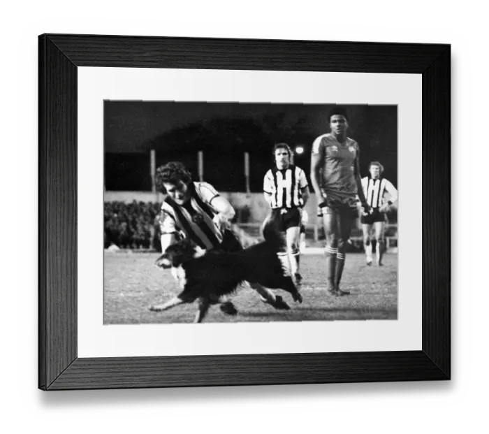 Framed Print : Newcastle United Action - Newcastle United v QPR 15 December 1979 - Peter Withe tries to Framed Print : Newcastle United Action - Newcastle United v QPR 15 December 1979 - Peter Withe tries to