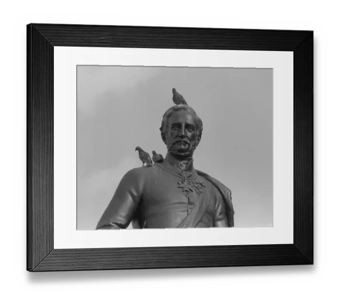 Framed Print : Trafalgar Square London October 1977 The pigeons in Trafalgar Square had to roost