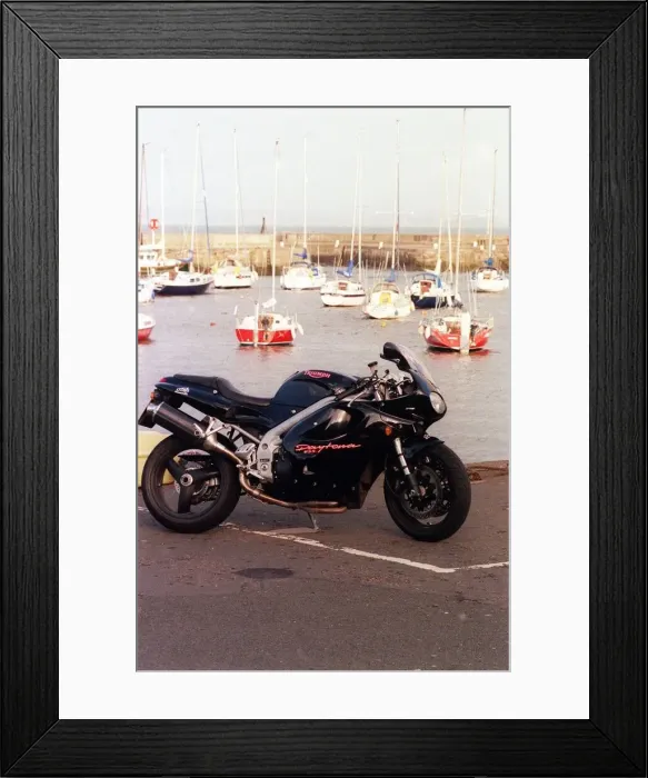 Framed Print : TRIUMPH 955I DAYTONA November 1999 Framed Print : TRIUMPH 955I DAYTONA November 1999
