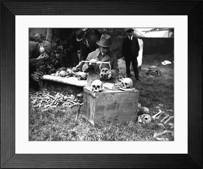 Framed Print : W. P. Pycraft British Museum anthropologist June 1923 measuring skulls among