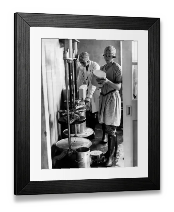 Framed Print : Miss Enid Hallam a BSC (Agriculture) innoculates cheeses