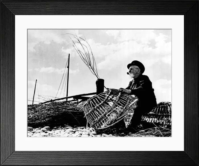Framed Print : An old man of the Sea This ancient tar mends lobster pots at Budleigh Salterton in Framed Print : An old man of the Sea This ancient tar mends lobster pots at Budleigh Salterton in