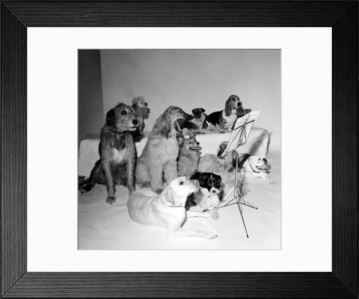 Framed Print : The Barking and Houndsditch Choral Society A new record is being released called Framed Print : The Barking and Houndsditch Choral Society A new record is being released called