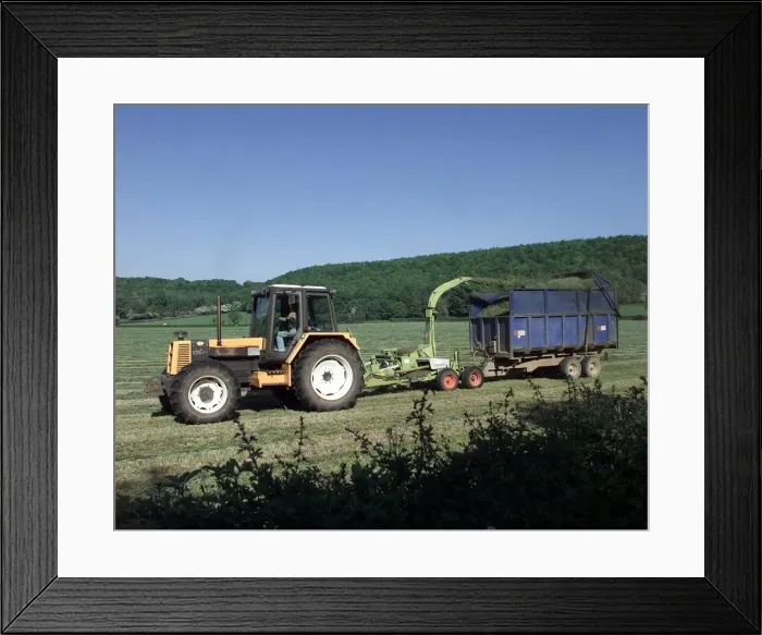Framed Print : Busy in the fields near Alcester a tractor cutting its crop in the sunshine. 1998 Framed Print : Busy in the fields near Alcester a tractor cutting its crop in the sunshine. 1998