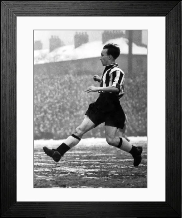 Framed Print : George Hannah. (Newcastle F. C. ). February 1954 Also to arrive from Ulster Framed Print : George Hannah. (Newcastle F. C. ). February 1954 Also to arrive from Ulster