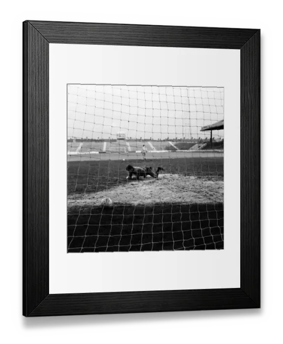 Framed Print : Long after the other Manchester City players have finished training Framed Print : Long after the other Manchester City players have finished training