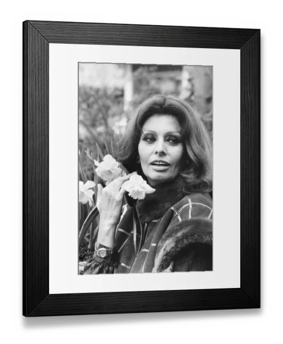 Framed Print : Sophia Loren actress